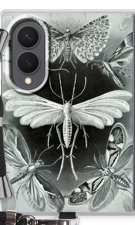 Haeckel Tineida