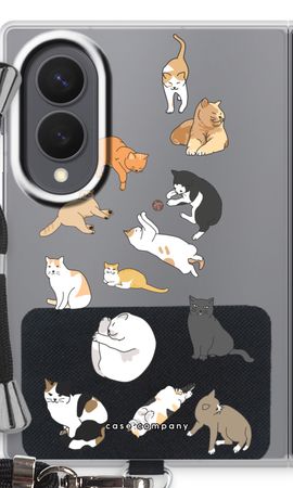Cats