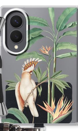 Tropical Parrot