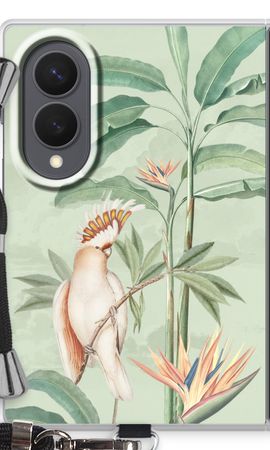 Tropical Parrot