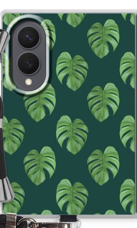 Monstera leaves