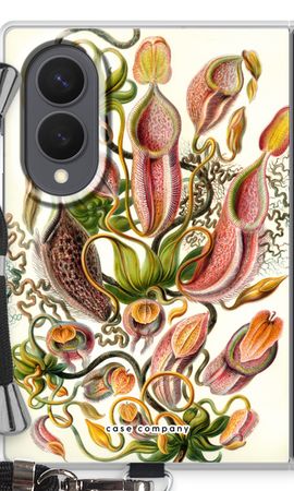 Haeckel Nepenthaceae