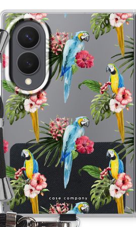 Colourful parrots