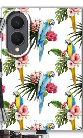 Colourful parrots