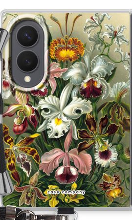 Haeckel Orchidae