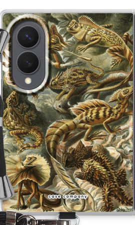 Haeckel Lacertilia