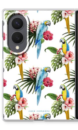 Colourful parrots