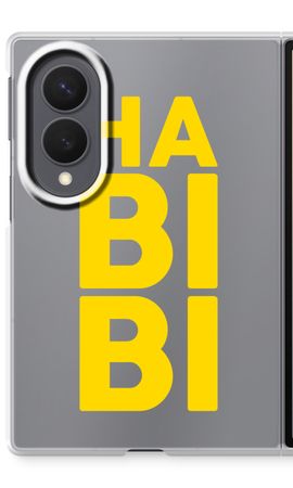 Habibi Majorelle 