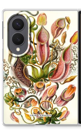 Haeckel Nepenthaceae