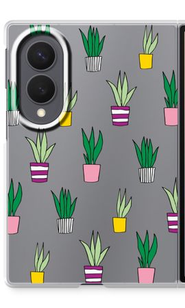 Sanseveria