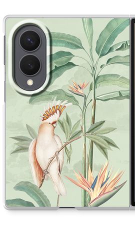 Tropical Parrot