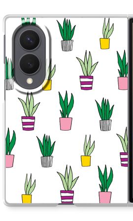 Sanseveria