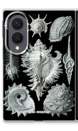 Haeckel Prosobranchia