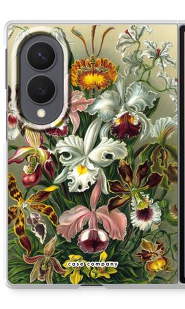 Haeckel Orchidae
