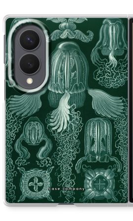 Haeckel Cubomedusae