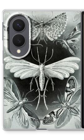 Haeckel Tineida