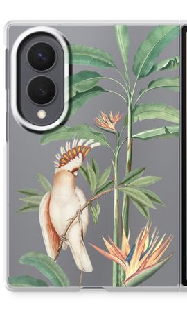 Tropical Parrot