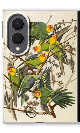 Carolina Parrot