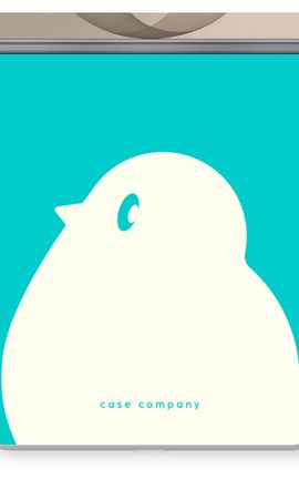BIG Robin 2