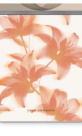 Peach Lilly