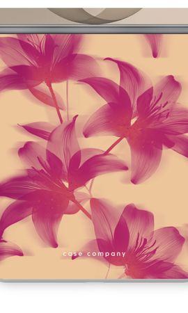 Sunset Bloom