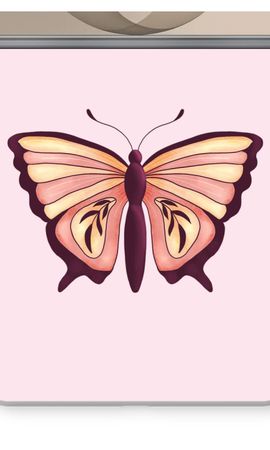 Pink Butterfly