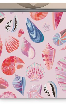 Cute Shells