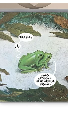 De kikkertjes