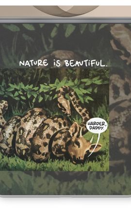 Nature is beautiful