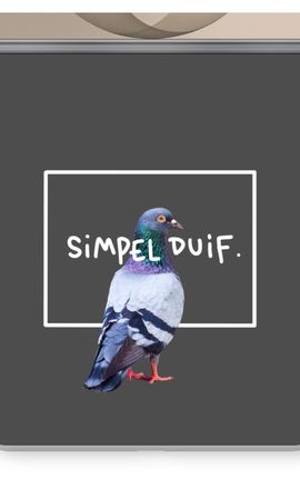 Simpel duif