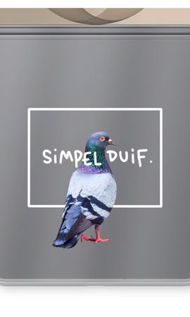 Simpel duif