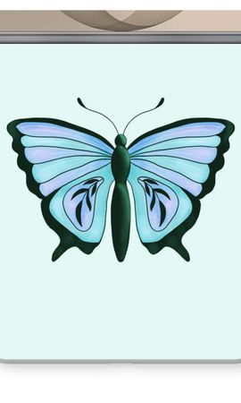 Blue Butterfly