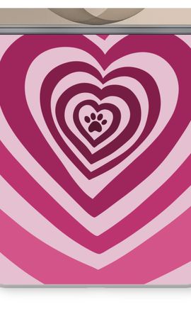 Animal Love