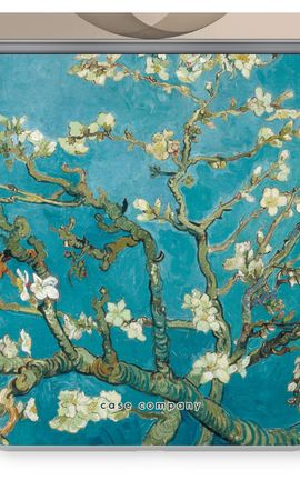Almond blossom