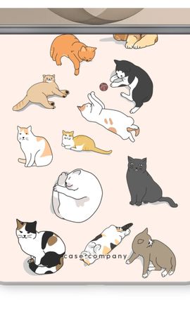 Cats