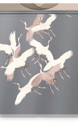 Japanese Crane Birds