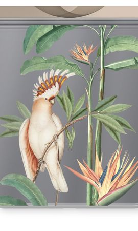 Tropical Parrot