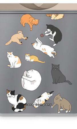 Cats