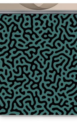 Turing pattern