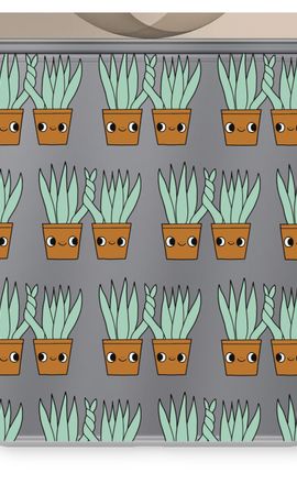 Sansevieria