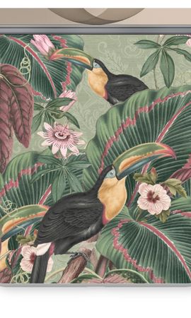 Tropical jungle toucan
