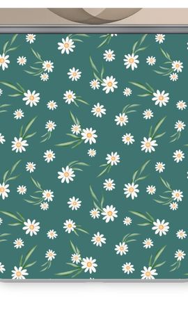 Small daisies