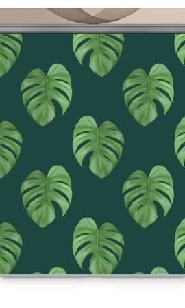 Monstera leaves