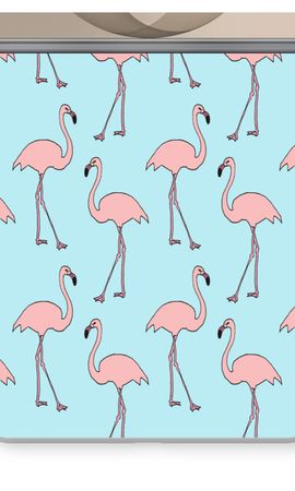Anything Flamingoes