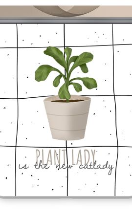 Houseplant on windowpane