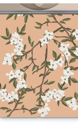 Blossoming spring