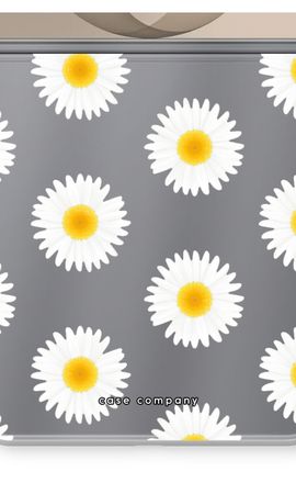 Gänseblümchen