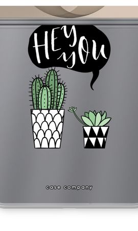 Hey you cactus