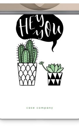 Hey you cactus