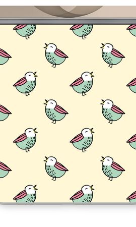 Little birds